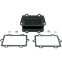 Membrana VFORCE 3 o/r HONDAtcr 250 r 2002