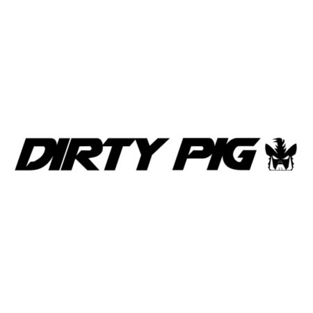 Uszczelniacze przedniego zawieszenia DIRTY PIG