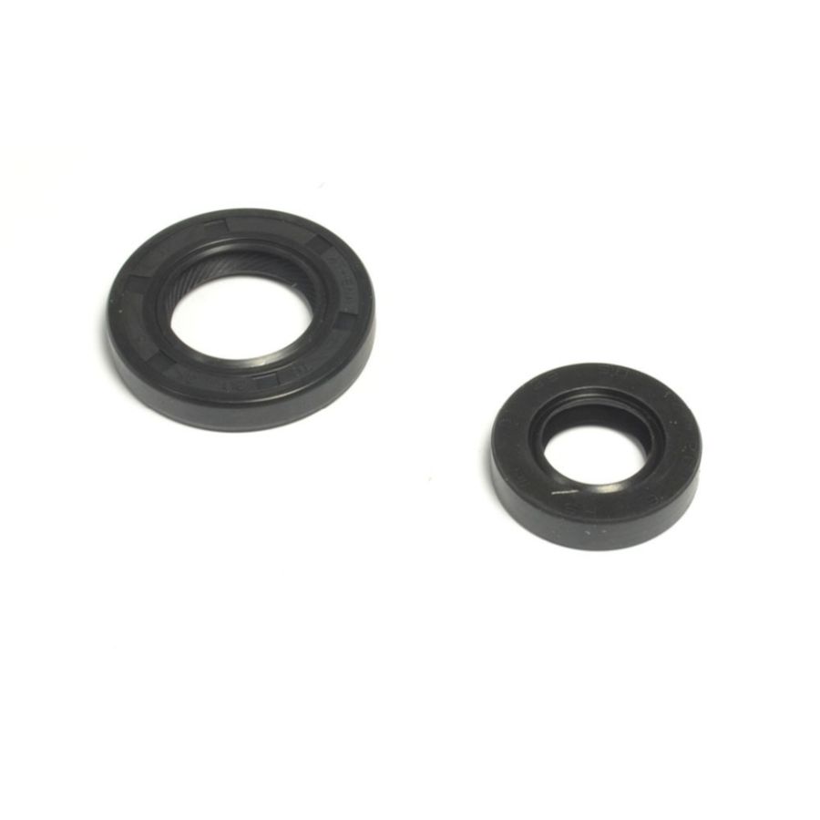 ATHENA s.paraolio YAMAHA tt-r 230 2005-2007 engine