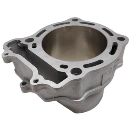 OEM SUZUKI 0212211 cylinder ltr450 06-09 langcourt