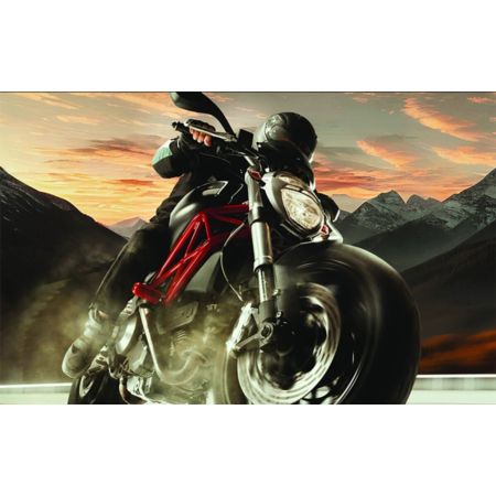 Tarcza hamulcowa BREMBO BMW K1200LT
