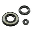 ZESTAW USZCZELEK OLEJU SILNIKA SNO-X 89-5199 89-5199 #63728