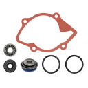 ZESTAW NAPRAWCZY POMPY WODY SNO-X 87-10101 87-10101 #63492